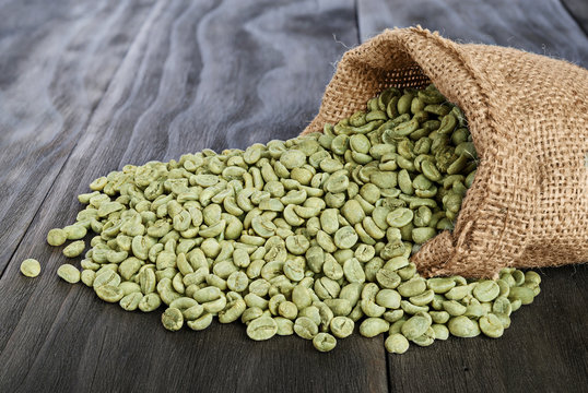 Real premium organic green coffee beans supplied by Maesasa Coffee