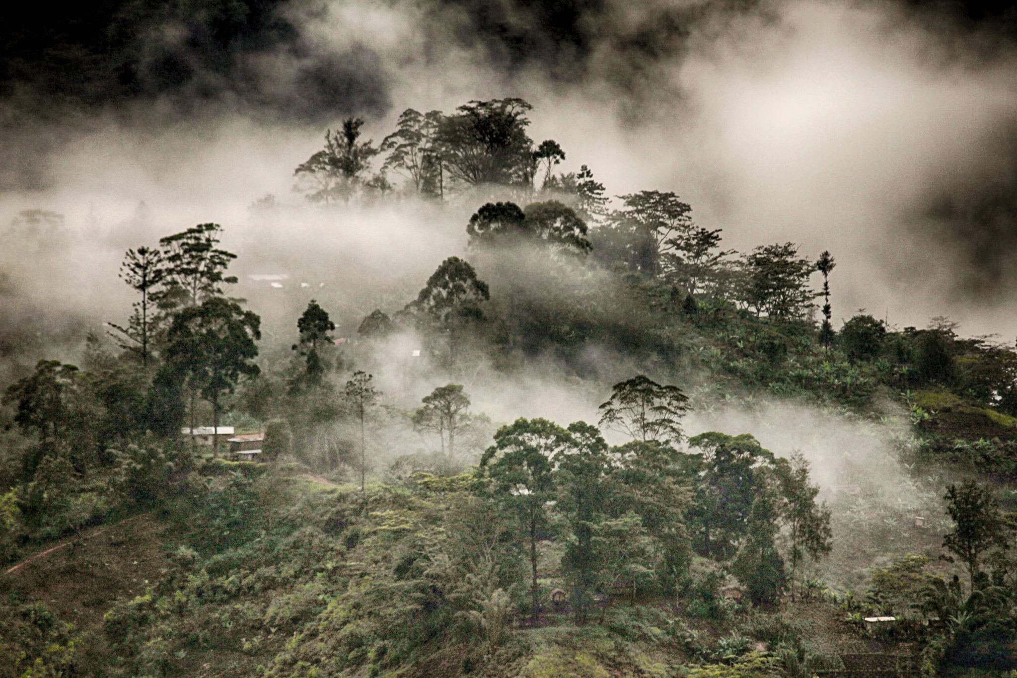 PNG Highlands coffee region